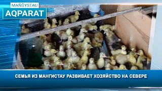 Family from Mangistau develops a farm in the north