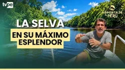 Pacaya Samiria: The Amazonian paradise you must visit