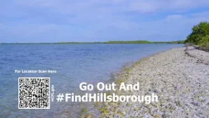 #FindHillsborough - Adamsville Area