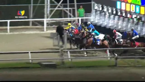 7ª. carrera | 5ª. válida | FORTY TIME | Hipódromo La Rinconada | Reunión 7 | 2026