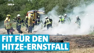 34 Grad und heißer – Waldbrandgefahr! So trainiert die Freiwillige Feuerwehr für den Ernstfall