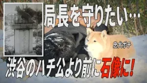 北海道に実在した「忠犬ポチ」知っていますか？大正時代の北海道で健気に、ただひたすらに。ポチは常に飼い主を思い続けたワンコのお話です【発見北海道摩訶不思議】