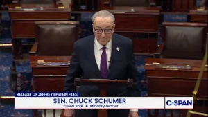 "Pam Bondi does not have the right to pick and choose which Epstein files to release to the public."