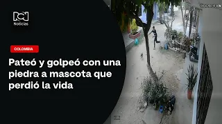 He kicked and struck a pet with a rock, causing its death in El Banco, Magdalena