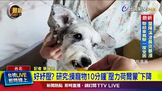 Soothing Stress? Study: Petting Animals for 10 Minutes Lowers "Stress Hormones"【Breaking News】