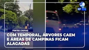 RF News - Temporal derruba árvores e alaga Kartódromo do Taquaral em Campinas