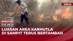 Latest Updates on Forest and Land Fires in Sampit and Ambon | Breaking News