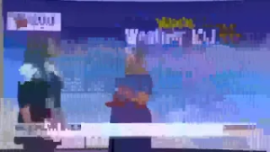 Van's Weather Kid: Brooklyn Bird