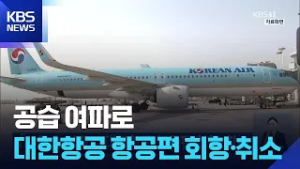 공습 여파로 대한항공 항공편 회항·취소 / KBS  2026.02.28.