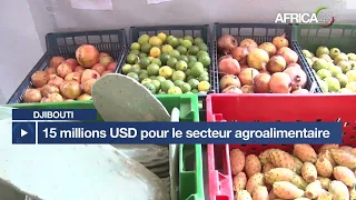 Djibouti : 15 millions USD pour la modernisation du secteur agroalimentaire