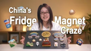 Why young Chinese are obsessed with fridge magnets