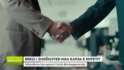 BREZI I ZHGËNJYER NGA KAPJA E SHTETIT/ Mbizotëron korrupsioni i lartë dhe keqqeverisja
