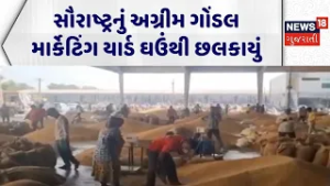 Rajkot APMC News | સૌરાષ્ટ્રનું અગ્રીમ ગોંડલ માર્કેટિંગ યાર્ડ ઘઉંથી છલકાયું | APMC | Gujarati News