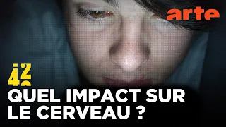 Scroller rend-il les ados bêtes ? | 42 - La réponse à presque tout | ARTE
