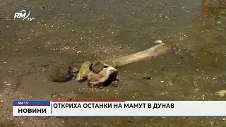 RM TV: Откриха останки на мамут в Дунав