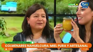 #ModoVeranoTVU - Conocemos el trabajo de Colmenares Nahuelcura - 17/02/26