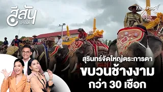 Surin hosts a spectacular parade of over 30 majestic elephants | Color Variety