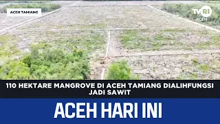 110 Hectares of Mangroves in Aceh Tamiang Converted to Palm Oil Plantations | Aceh News Today