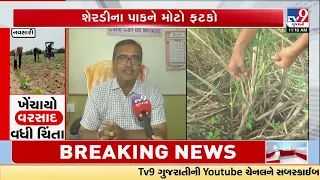 Sugarcane Production at Risk in Gujarat! Floods & Weather Raise Major Concerns | TV9Gujarati