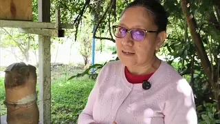 In Amatlán de los Reyes, they are fighting to conserve Melipona bees