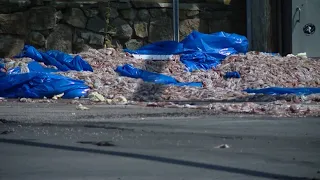 A smelly smell that smells smelly in Rhode Island | The Daily Brew