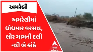 Amreli Rain | અમરેલીમાં ધોધમાર વરસાદ, લોર ગામની દલી નદી બે કાંઠે | ABP Asmita