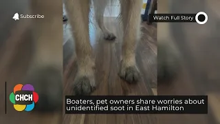 Boaters, pet owners share worries about unidentified soot in East Hamilton