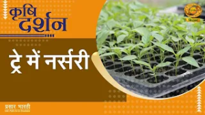 Krishi Darshan | कृषि दर्शन- ट्रे में नर्सरी | DD Kisan | 27/02/2026