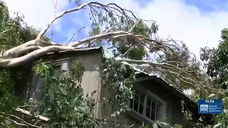 ‘Heartbreaking’: Maui businesses ruined by Lala’s forceful winds