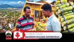 Cyber tour || Baakkoo dhaaba Shonkoraa.