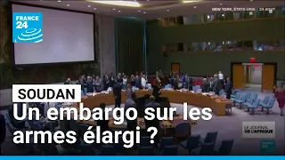 Soudan : les États-Unis veulent étendre l’embargo sur les armes • FRANCE 24