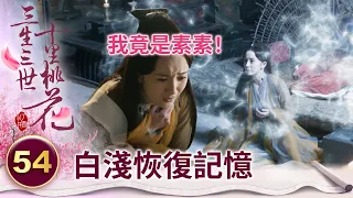 女帝恢復前世記憶！終於想起自己就是太子的前妻【三生三世十里桃花】精華 EP54-1 楊冪、趙又廷、迪麗熱巴、高偉光、張智堯 @ctvdrama_classic