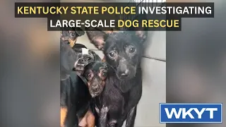 Kentucky State Police investigating large-scale dog rescue in Adair County