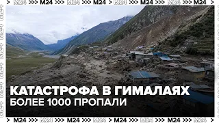 Putin expresses condolences to China and Nepal following Himalayan disaster