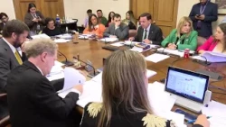 Motion addressing false allegations in cases involving minors analyzed