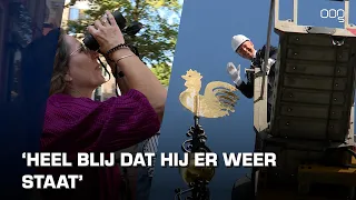 Gerestaureerde windhaan teruggeplaatst op Martinikerk