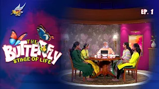 Pattampoochi: The "Butterfly" Stage of Life | Ep. 1