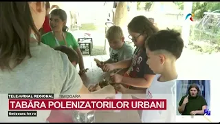 Urban Pollinator Camp connects children with nature and technology #RegionalNews @TVRTM