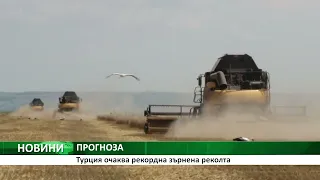 Турция очаква рекордна зърнена реколта