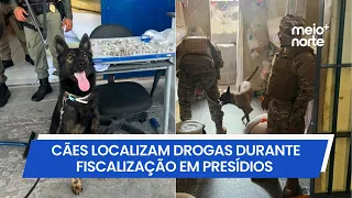 Sniffer dogs locate drugs during inspection at Maranhão prisons | Meio Norte