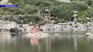 Moose captured on camera swimming near St. Mary's Glacier surrounded by hikers