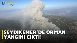 FOREST FIRE BREAKS OUT IN SEYDIKEMER!