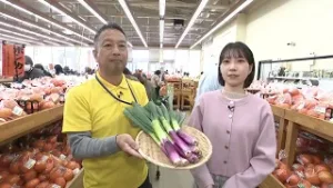 【ベジ得】鮮やかな赤紫色をした、珍しい野菜の「赤ネギ」