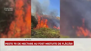 PESTE 70 DE HECTARE AU FOST MISTUITE DE FLĂCĂRI