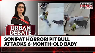 Pit Bull Attack Horror! 6-Month-Old Baby Mauled In Sonipat, CCTV Captures Terrifying Attack