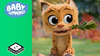 Shows in the Woods | Baby Lemmings | Boomerang Italia