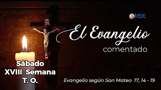 August 8th Gospel Commentary 📖🕊️