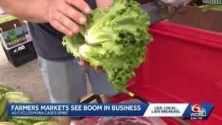 Louisiana Cyclospora cases reach triple digits