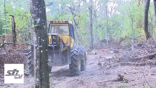 SBTV - DNEVNIK - OLUJE I KLIMATSKE PROMJENE RAZORILE ŠUME  - 28.08.2026.
