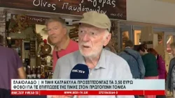 Η τιμή ελαιολάδου κατρακυλά στα 3,50 ευρώ-Φόβοι για τις επιπτώσεις στον πρωτογενή τομέα